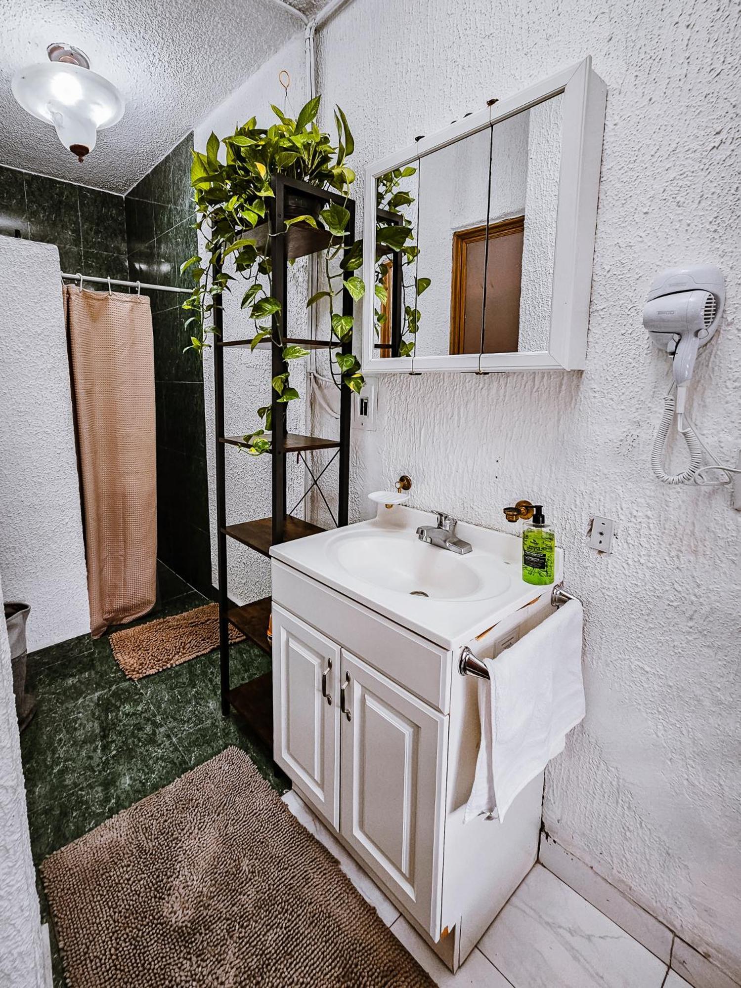 Habitacion Con Bano Privado B, Centro De Coyoacan Μεξικό Δωμάτιο φωτογραφία